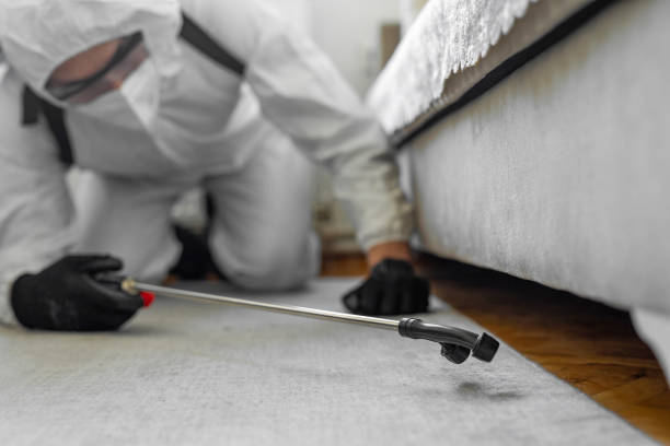 Professional Bed Bug Control technician working in Springtown, TX